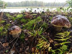 IMG-20250902-WA0134.thumb.jpeg.9a57969cad25328a3db897b76867454e.jpeg