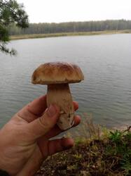 IMG-20250902-WA0136.thumb.jpeg.7795cde2f9f8bcd963bbedb23f6068d6.jpeg