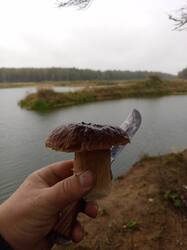 IMG-20250902-WA0140.thumb.jpeg.1de52b484af2c616e3185d26998d9450.jpeg