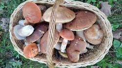 IMG-20250913-WA0001.jpg