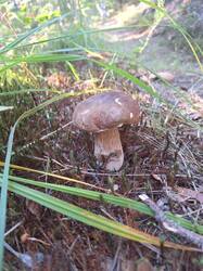 IMG-20250913-WA0016.jpg