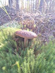 IMG-20250913-WA0017.jpg