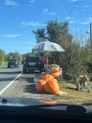 IMG-20250914-WA0000.jpg