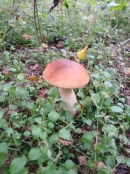 IMG20250903084029.jpg