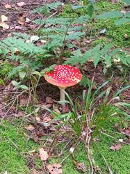 IMG20250903085404.jpg