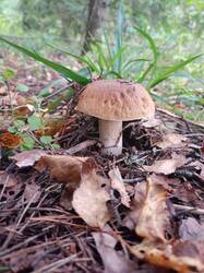 IMG20250903101605.jpg