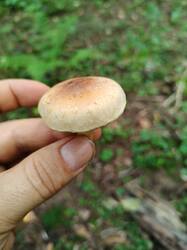 IMG20250903155246.jpg
