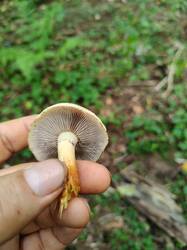 IMG20250903155251.jpg