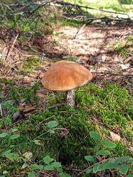IMG20250922095417.jpg