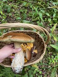IMG_1395.jpeg