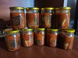 IMG_20250614_145121.thumb.jpg.9dcc18f9ead03c129e2b62daffcbd9f6.jpg