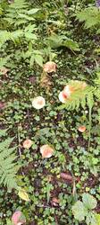 IMG_20250830_130021.jpg