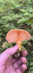 IMG_20250830_130028.jpg