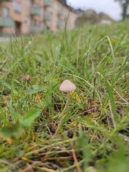 IMG_20250901_134723.thumb.jpg.6c45505bc26dbb1602d8cf003f1cdd9c.jpg