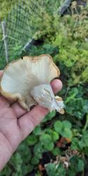 IMG_20250901_180656.jpg