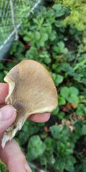 IMG_20250901_180737.jpg