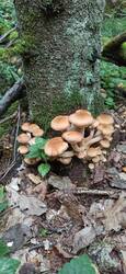 IMG_20250902_152537.jpg