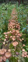 IMG_20250903_181754_562.jpg