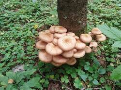 IMG_20250904_154818.jpg