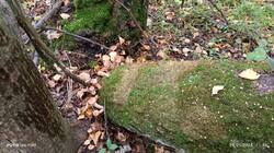 IMG_20250905_114858.thumb.jpg.52f77f6ef925037d77671c5e7a20c744.jpg