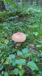 IMG_20250905_173253.jpg