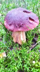 IMG_20250905_181134.jpg