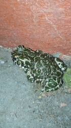 IMG_20250909_222522.jpg