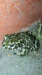 IMG_20250909_222537.jpg