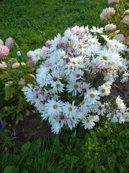 IMG_20250910_173911.jpg