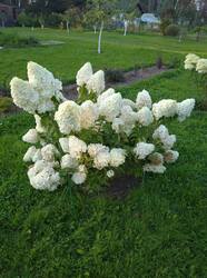 IMG_20250910_174234.jpg