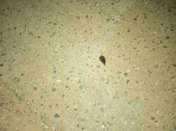 IMG_20250911_202912_464.thumb.jpg.3ae259facaf3fc2e08fd4b9223c5fdfb.jpg