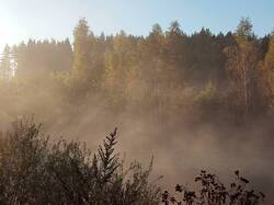 IMG_20250913_071136_174.thumb.jpg.8d63fdb6efb41c3a991a845fd50dec2a.jpg