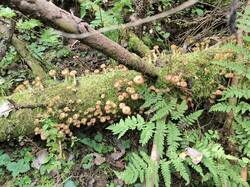 IMG_20250913_091025.jpg