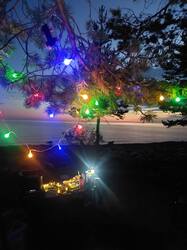 IMG_20250913_104347_593.thumb.jpg.d4adedd63675629ba990adaea3c54539.jpg