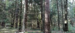 IMG_20250914_112041.jpg