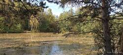 IMG_20250914_130014.jpg