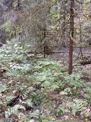 IMG_20250915_133553.jpg