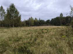 IMG_20250917_124947.jpg