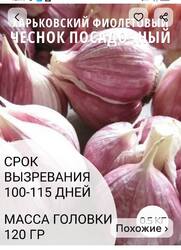 IMG_20250918_124455.jpg