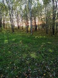 IMG_20250918_173241.jpg