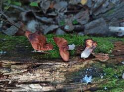 IMG_20250918_174516.jpg