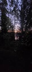 IMG_20250919_163939_143.thumb.jpg.2090ae25b398ec80563790e7aa3ec0d6.jpg