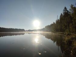 IMG_20250919_164216_152.thumb.jpg.5ff6e8015f68a08266b3a4fcaf7af1dc.jpg
