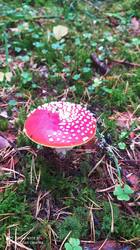 IMG_20250920_091413.jpg