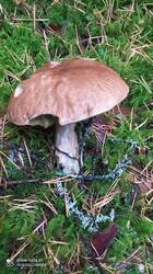IMG_20250920_091605.jpg