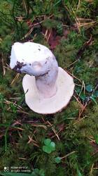 IMG_20250920_092012.jpg