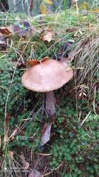 IMG_20250920_100018.jpg