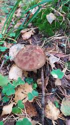 IMG_20250920_113653.jpg