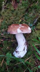 IMG_20250920_134811.jpg