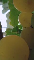 IMG_20250921_121140.jpg
